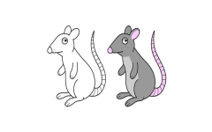 آموزش گام به گام نقاشی - موش کارتونی